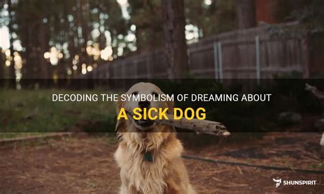 Symbolism of an Ailing Canine in Dreams