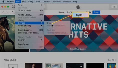 Syncing Your iPad Mini with iTunes