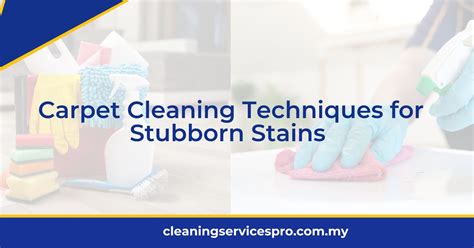 Tackling Stubborn Stains: Best Techniques and Products