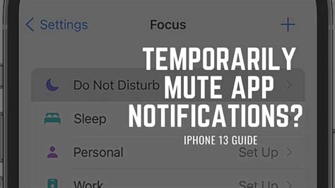 Temporarily Muting Application Notifications