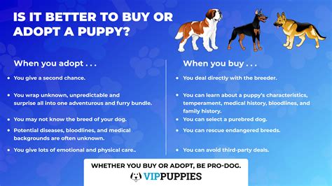 The Advantages and Disadvantages of Purchasing a Puppy from a Breeder