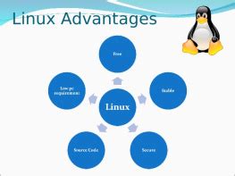 The Advantages of Linux in Configuring a Project Management System