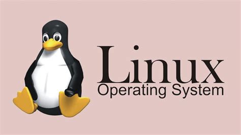 The Advantages of Linux in Ensuring Data Protection