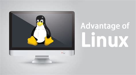 The Advantages of Linux in the Field of Financial Management
