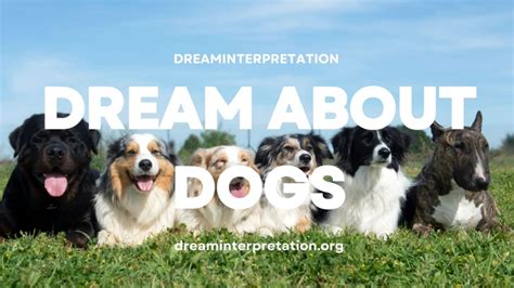 The Analysis of Diverse Canine Behaviors in Dreams