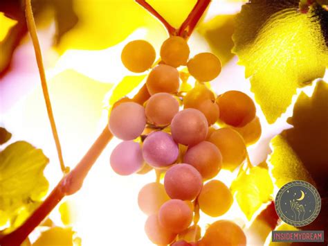 The Ancient Lore of Dreams: Exploring the Symbolic Significance of Grapes