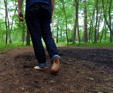 The Art of Walking: Exploring the Woods on Foot