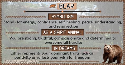 The Bear's Connection to Power and Protection in Dream Interpretation