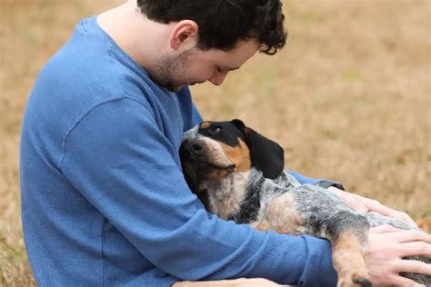 The Benevolence and Empathy of a Devoted Canine Companion