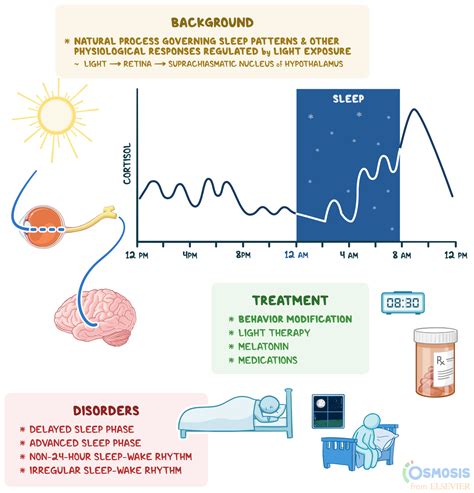 The Biological Impact: How Pruritus Influences the Sleep Patterns of Nightingales