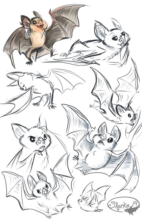 The Captivating Realm of Bat Sketches