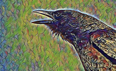 The Caw of Change: Crow as a Symbol of Transformation