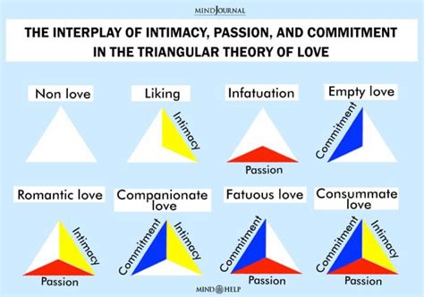 The Complex Interplay of Passion and Affection: Unraveling the Enigmatic Nature of Romantic Bonds