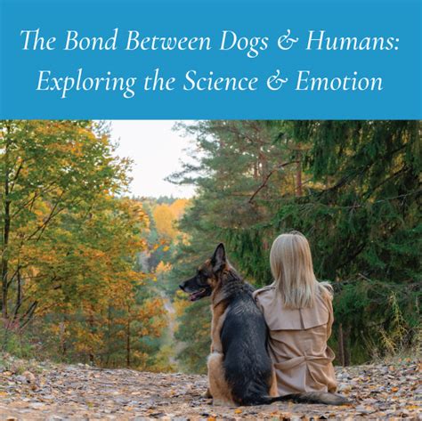 The Connection Between Canines and Human Emotions