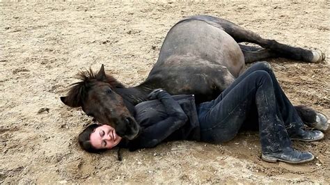 The Connection Between Dreaming About a Horse Being Petted and Emotional Well-being