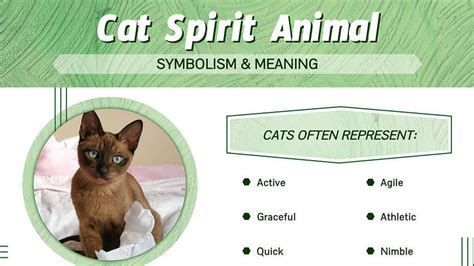 The Connection Between Felines and Symbolism in Different Cultures