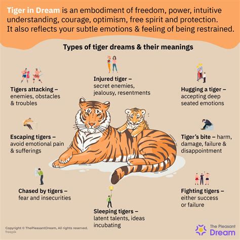 The Connection Between Lion and Tiger Dreams and Female Empowerment