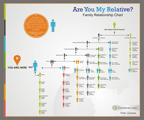 The Connection between Cousins and Personal Relationships