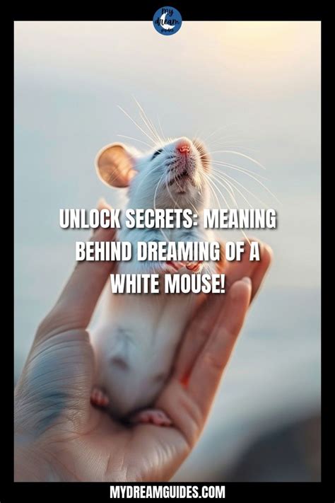 The Connection between Mouse Dreams and Your Subconscious Mind