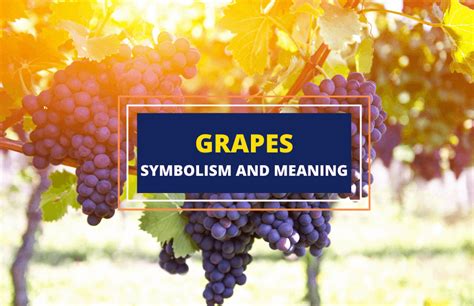 The Contemporary Understanding of Grape Symbolism: The Significance of Abundance in Personal Growth and Prosperity
