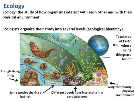 The Contribution of Dark Avian Species to Plant Reproduction and Ecological Equilibrium