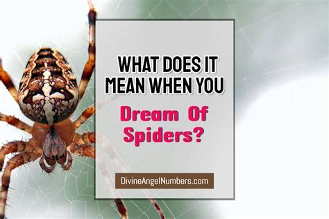 The Correlation Between Fear and Spider Dreams