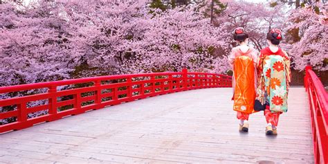 The Cultural Significance of Hanami Festivals