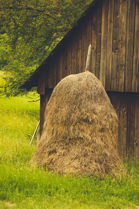The Cultural and Historical Significance of Haystacks