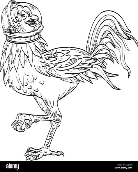 The Curious Case: Dark-Hued Fowls in Mythology and Folklore