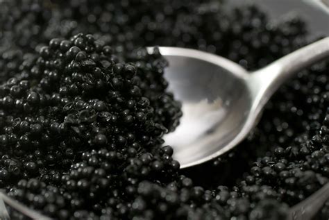 The Definition and Origins of Caviar