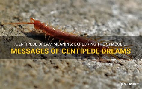 The Emotional Impact of Centipede Dreams: Exploring Fear, Disgust, and Empowerment