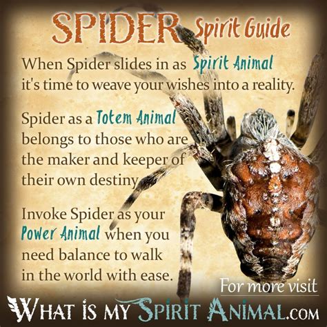 The Empowering Influence of Spider Symbolism: Harnessing Feminine Power for Petite Stature