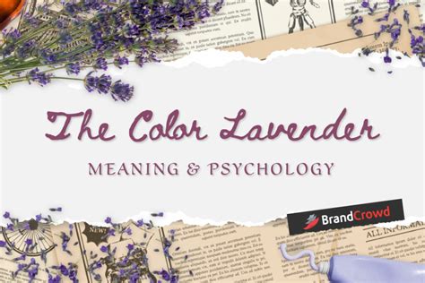 The Enchanting Aesthetic of Lavender: Exploring the Color Psychology Behind the Reverie