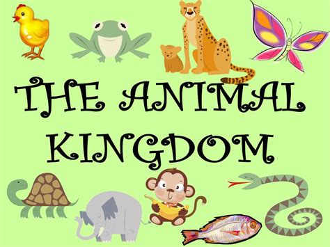 The Enchanting Powers of the Animal Kingdom