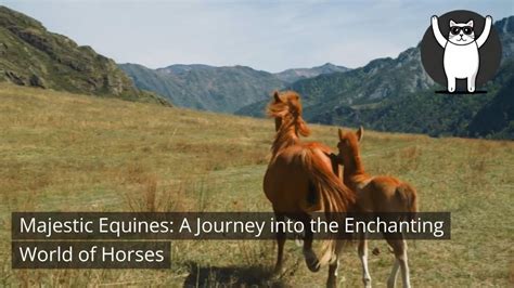 The Enchanting Realm of Equines