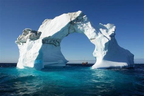 The Enchanting Splendor of Icebergs