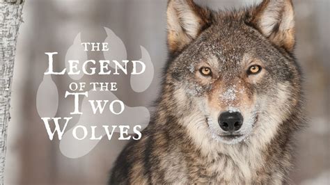 The Enchanting Tale of Wolves: From Legend to Reality