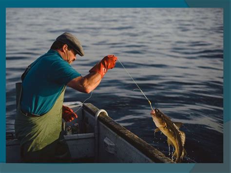 The Enchantment of Capturing Fish Using Only Your Bare Fingers