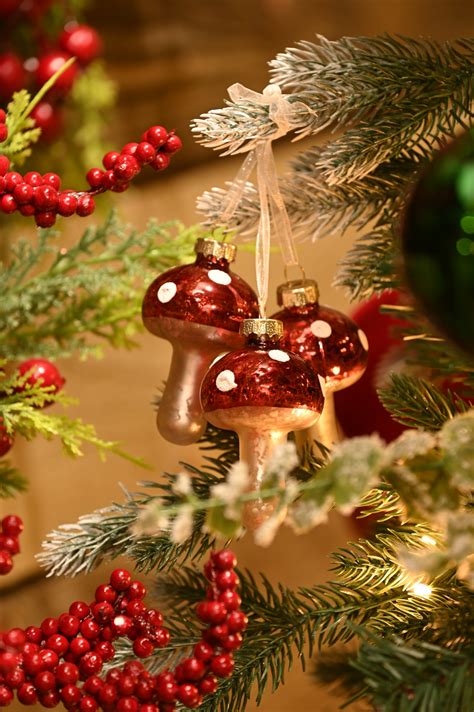 The Enchantment of a Festive Evergreen: Exploring the Deeper Meaning behind the Adorned Symbol