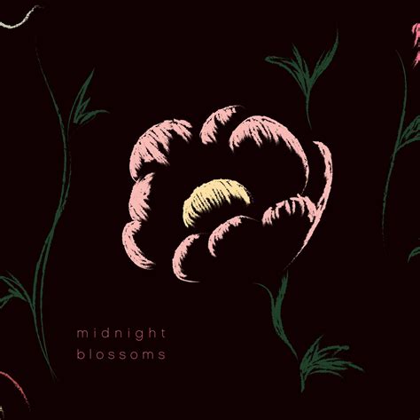 The Enigma Surrounding Dreams: Midnight Blossoms