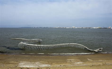 The Enigmatic Colossal Serpent