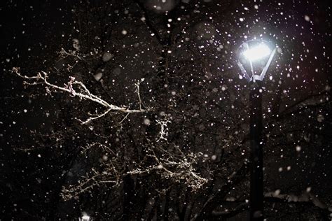 The Enigmatic Nature of Spring Snowfall: Unlocking Its Mysteries 