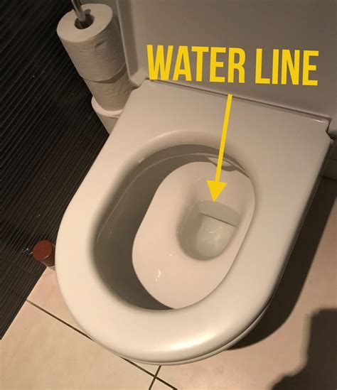 The Enigmatic Significance of Water-Filled Toilets