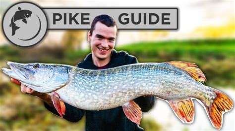 The Enthralling World of Pike Fishing Techniques