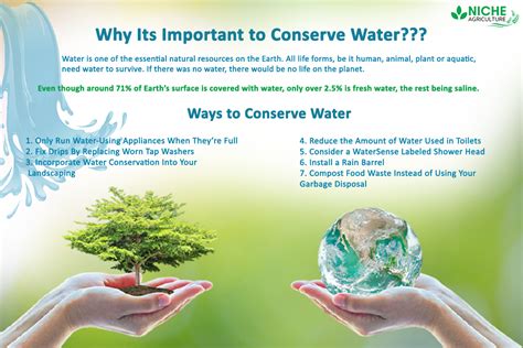 The Environmental Impact: Conserving Water Resources