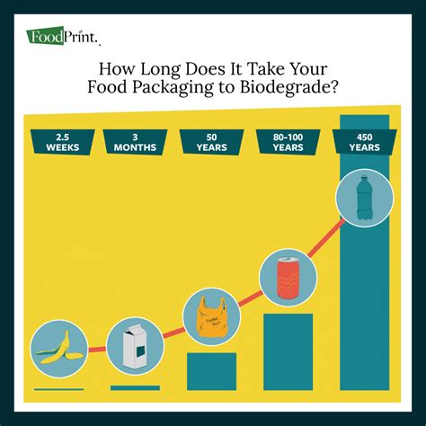 The Environmental Impact of Packaging in Outdoor Food