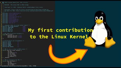 The Essential Contribution of the Linux Kernel Community's Central Organizer