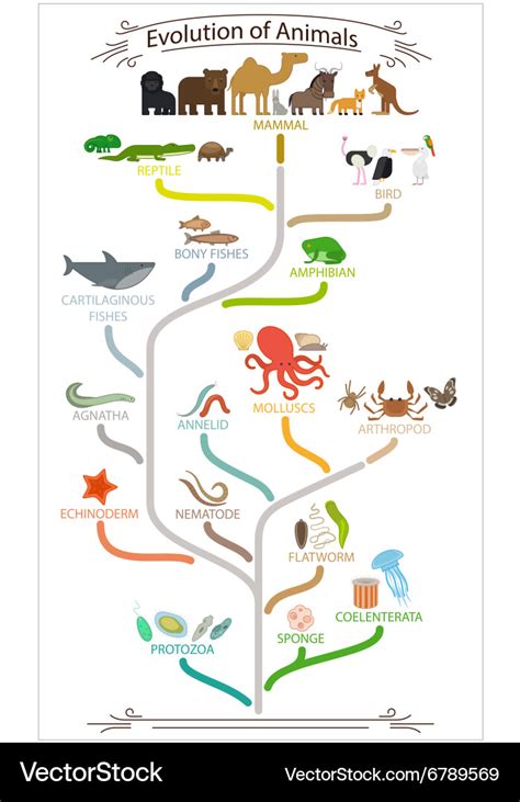 The Evolution of Animal Construction Skills