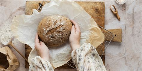 The Evolution of Bread: From Ancient Grains to Modern Loaves