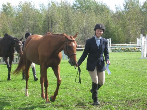 The Exciting Exploits of the Young Equestrian Relative